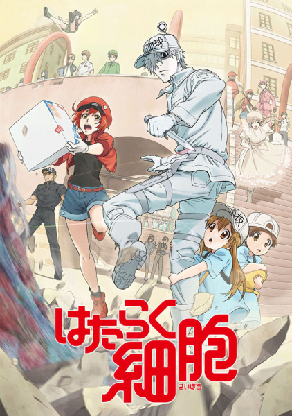Hataraku Saibou | اوك انمي - Okanime