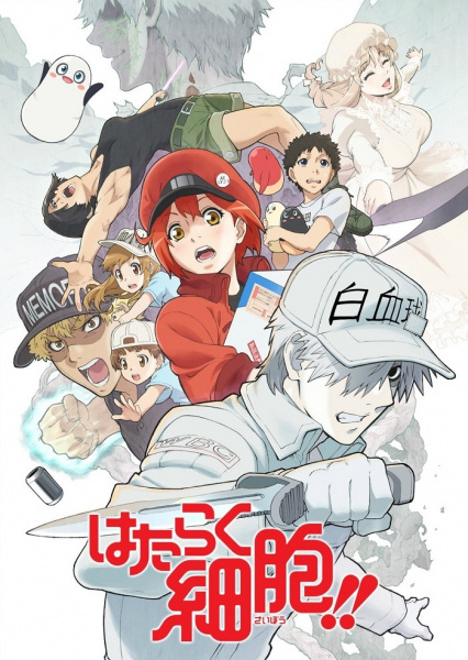 Hataraku Saibou!! | اوك انمي - Okanime
