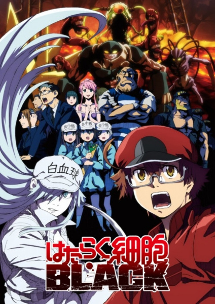 Hataraku Saibou Black | اوك انمي - Okanime