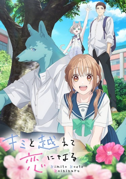 Kimi to Koete Koi ni Naru | اوك انمي - Okanime