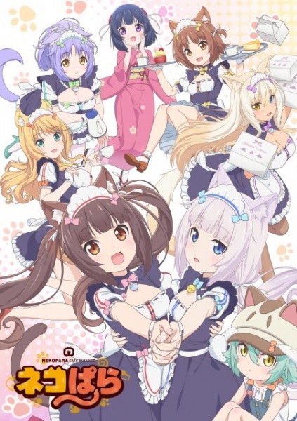 Nekopara | اوك انمي - Okanime