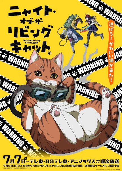 Nyaight of the Living Cat | اوك انمي - Okanime
